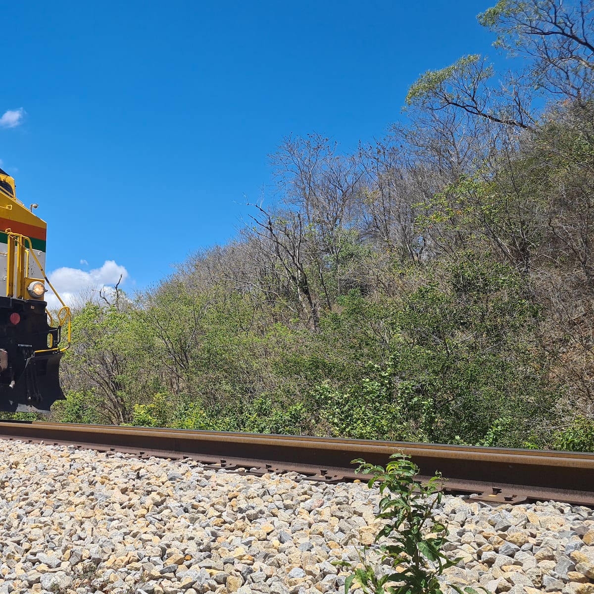 Gobernación de La Guajira rechaza atentados a línea férrea del Cerrejón