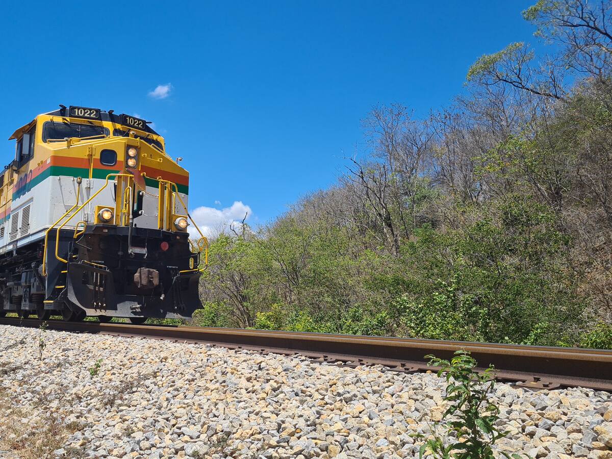 Bloqueo de comunidad wayuu afecta operaciones del Cerrejón