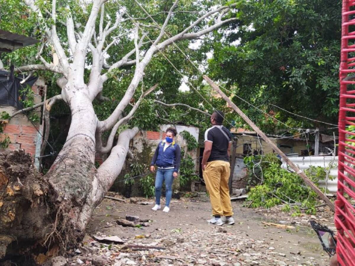 Inspeccionan 11 viviendas afectadas por el invierno en Cartagena