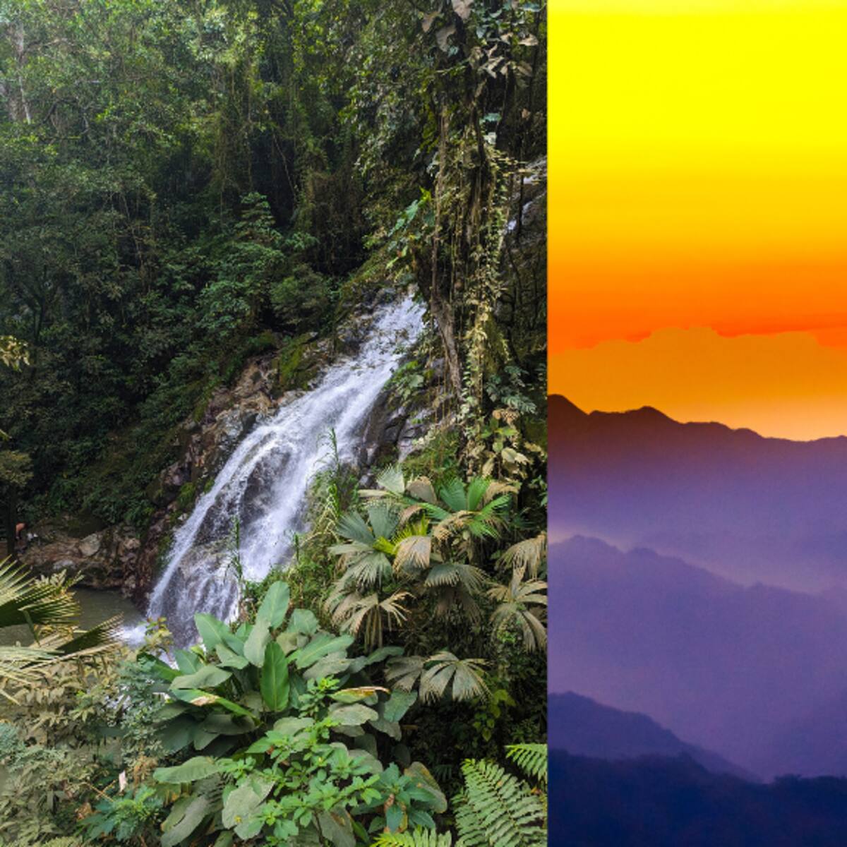 ¿Cómo subir a Minca desde Santa Marta? Así se llega a la capital ecológica de la Sierra Nevada