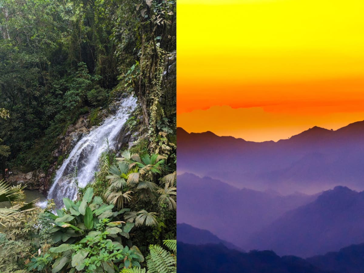 ¿Cómo subir a Minca desde Santa Marta? Así se llega a la capital ecológica de la Sierra Nevada