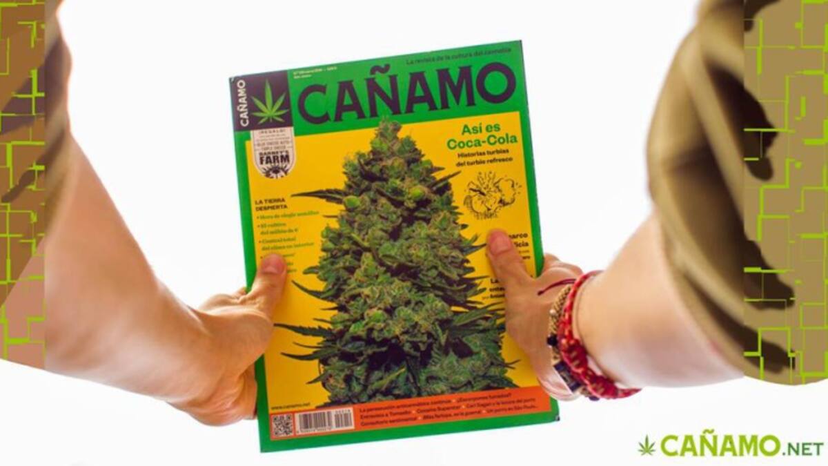 Llega a Colombia la revista ´Cáñamo´, una instrucción de la cultura del cannabis