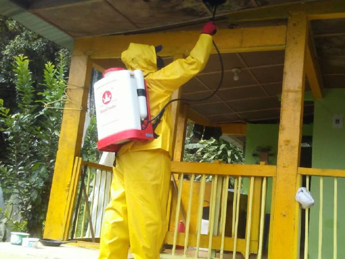 Inician búsqueda activa ante brote de Leishmaniasis en el oriente de Caldas