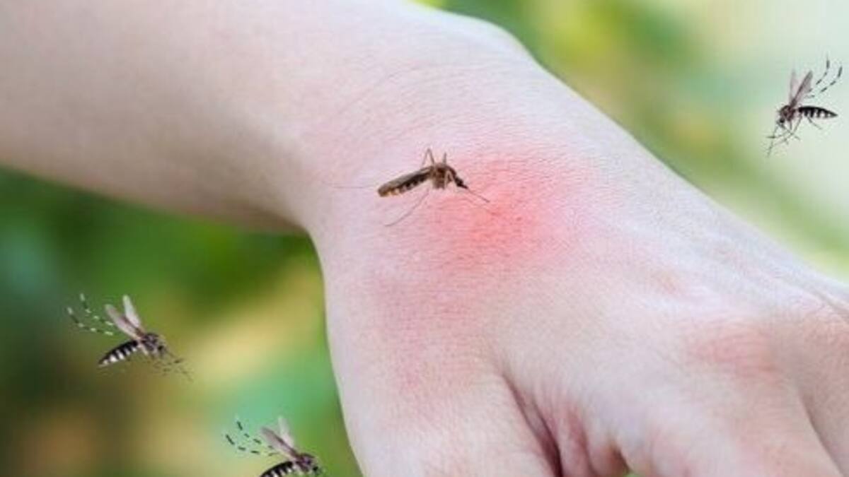 Casos de dengue en Manizales aumentaron un 350% en los primeros meses de 2025