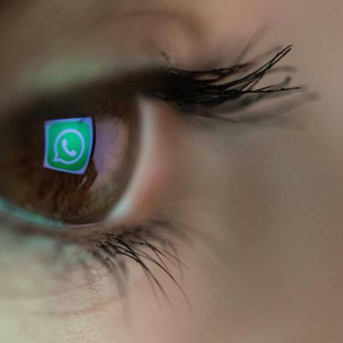 ¡Es un engaño! App para saber quién ve su foto en WhatsApp