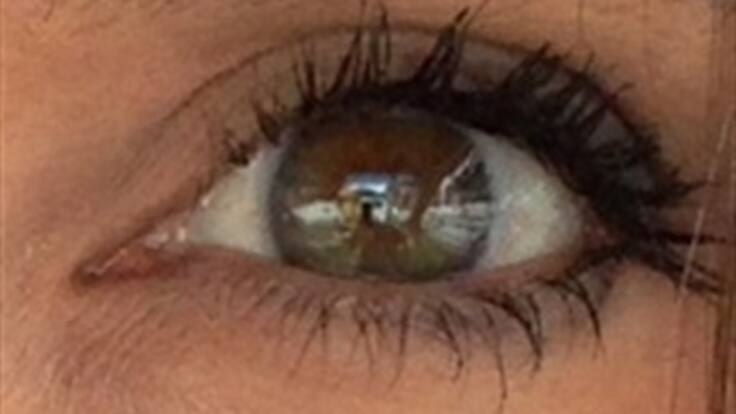 Exposición Orquídeas, pájaros y Flores