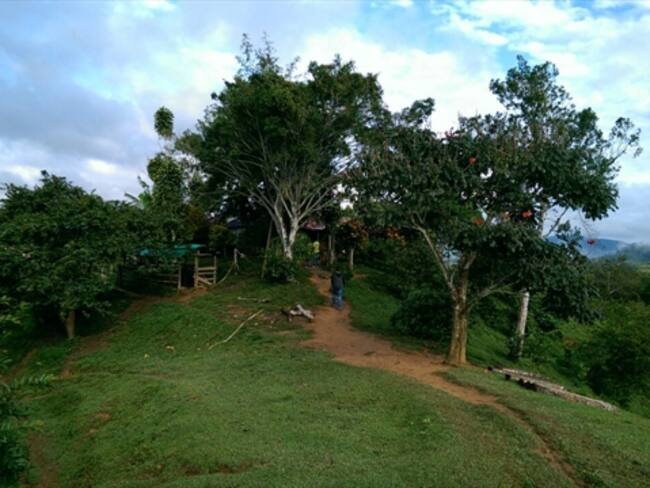 Masacre en Amalfi anuncia lo que viene con libertad de jefes ‘paras’: Ávila