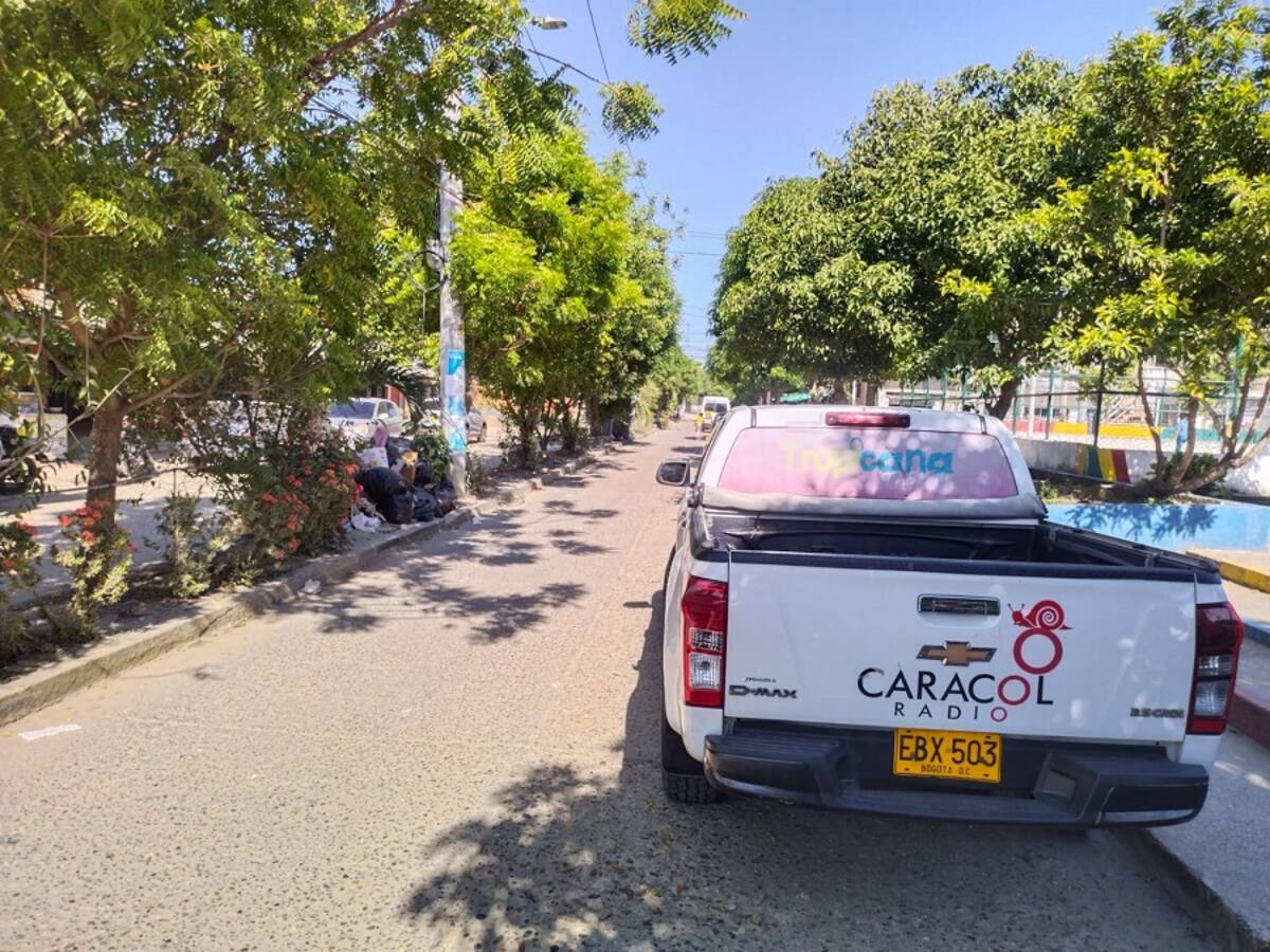 Denuncian envenenamiento masivo de perros en una urbanización de Cartagena