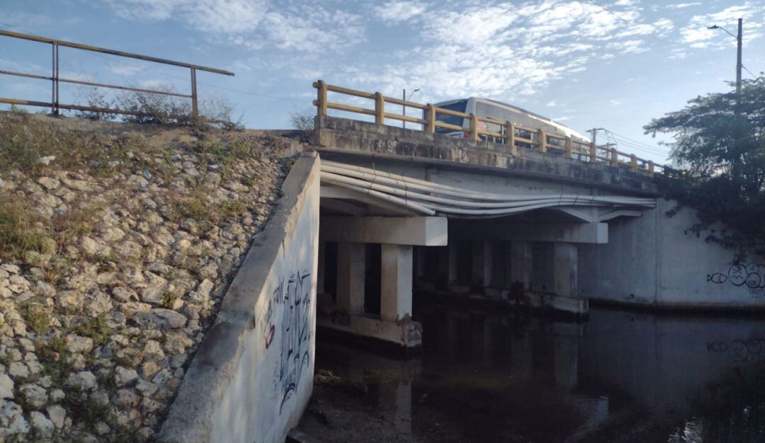 La estructura evidencia problemas en sus barandas y pasos peatonales