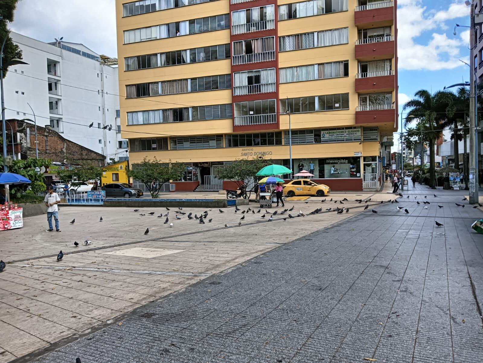 Las palomas en el parque Sucre en Armenia. Adrián Trejos