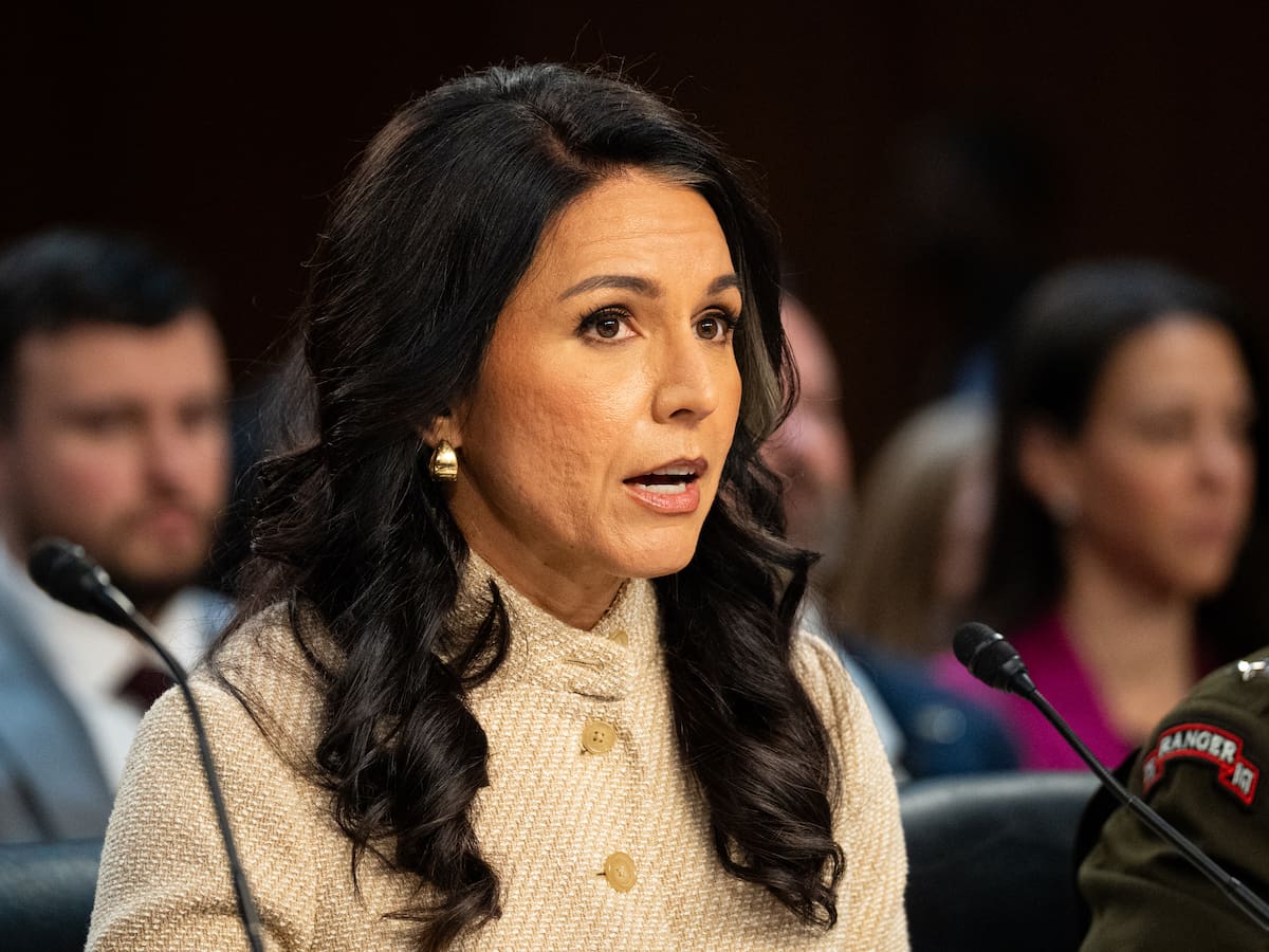 ELN y disidencias Farc son una amenaza para el continente: Directora de Inteligencia de EE.UU.