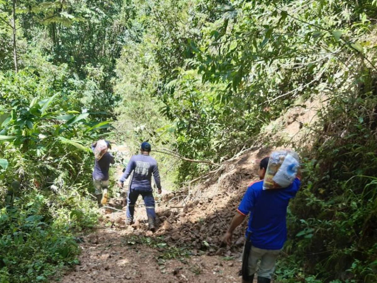 El invierno afecta a los campesinos del Tolima