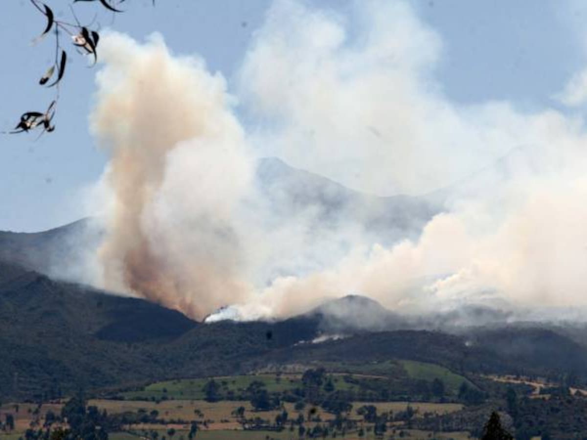 Cerca del 95% de los incendios forestales en Cundinamarca han sido provocados
