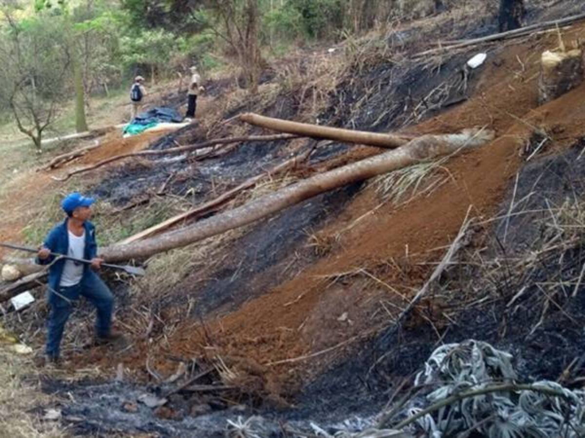 20 capturados por invadir predios en el oeste de Cali