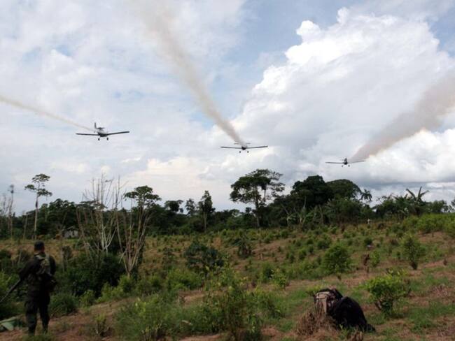 Alcaldes en el Catatumbo rechazan erradicación a través de glifosato