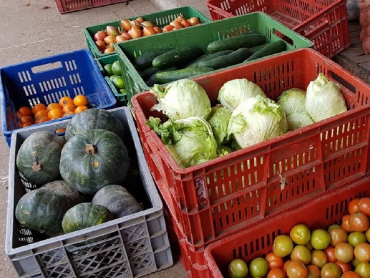 Buenos precios y pleno abastecimiento en la Plaza de Mercado de Manizales