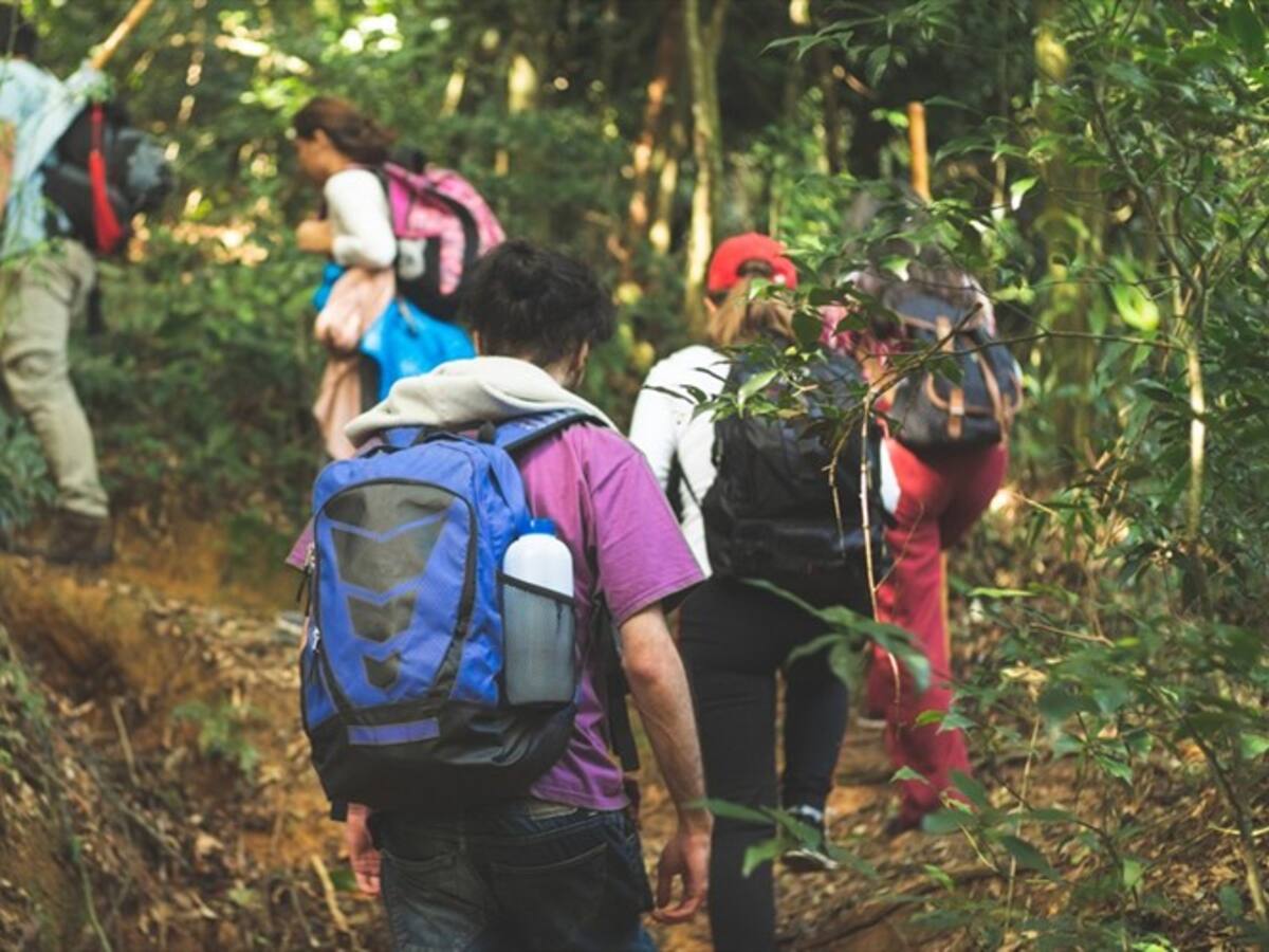 Los "peros" de los guías turísticos a la actualización de la Ley del Turismo