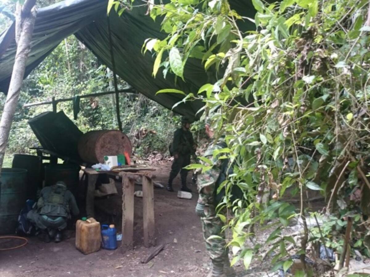 Destruyen 34 laboratorios de cocaína pertenecientes al "Clan del Golfo" en Antioquia