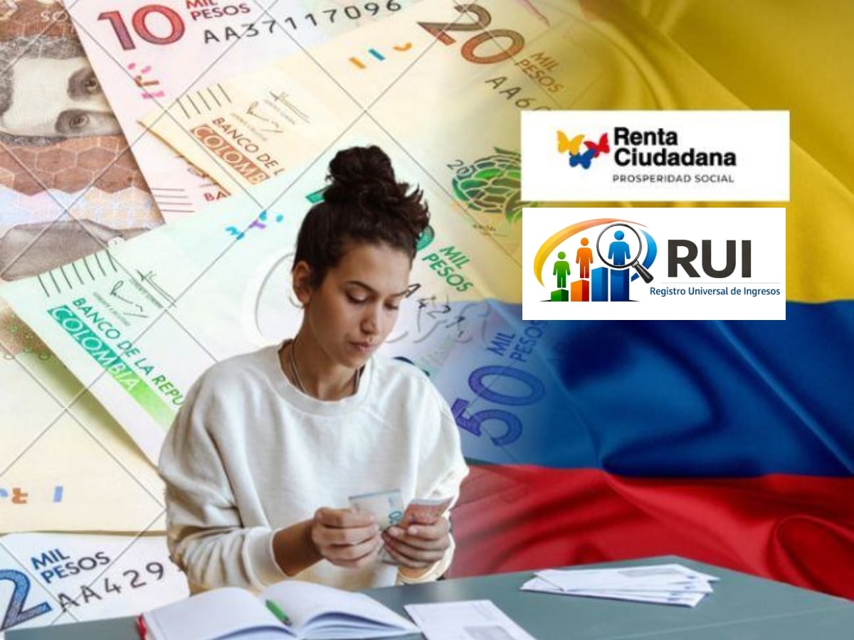 Renta Ciudadana, RUI, imagen de referencia