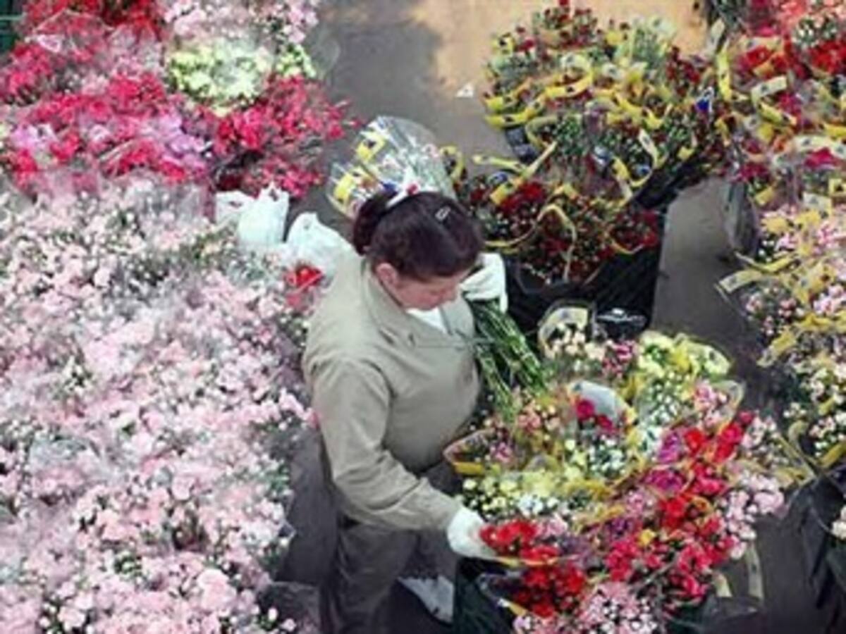 Contraloría abre proceso fiscal al Banco Agrario y Finagro por créditos a floricultores