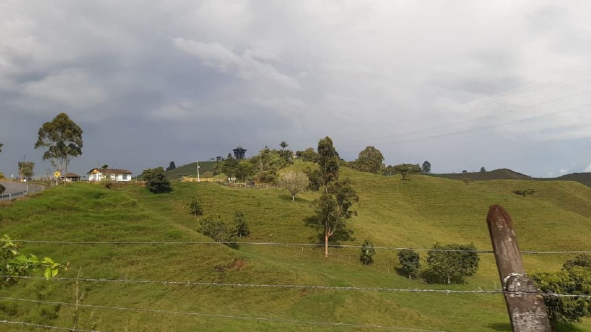Las noticias más importantes de Armenia y el Quindío, martes 5 de enero