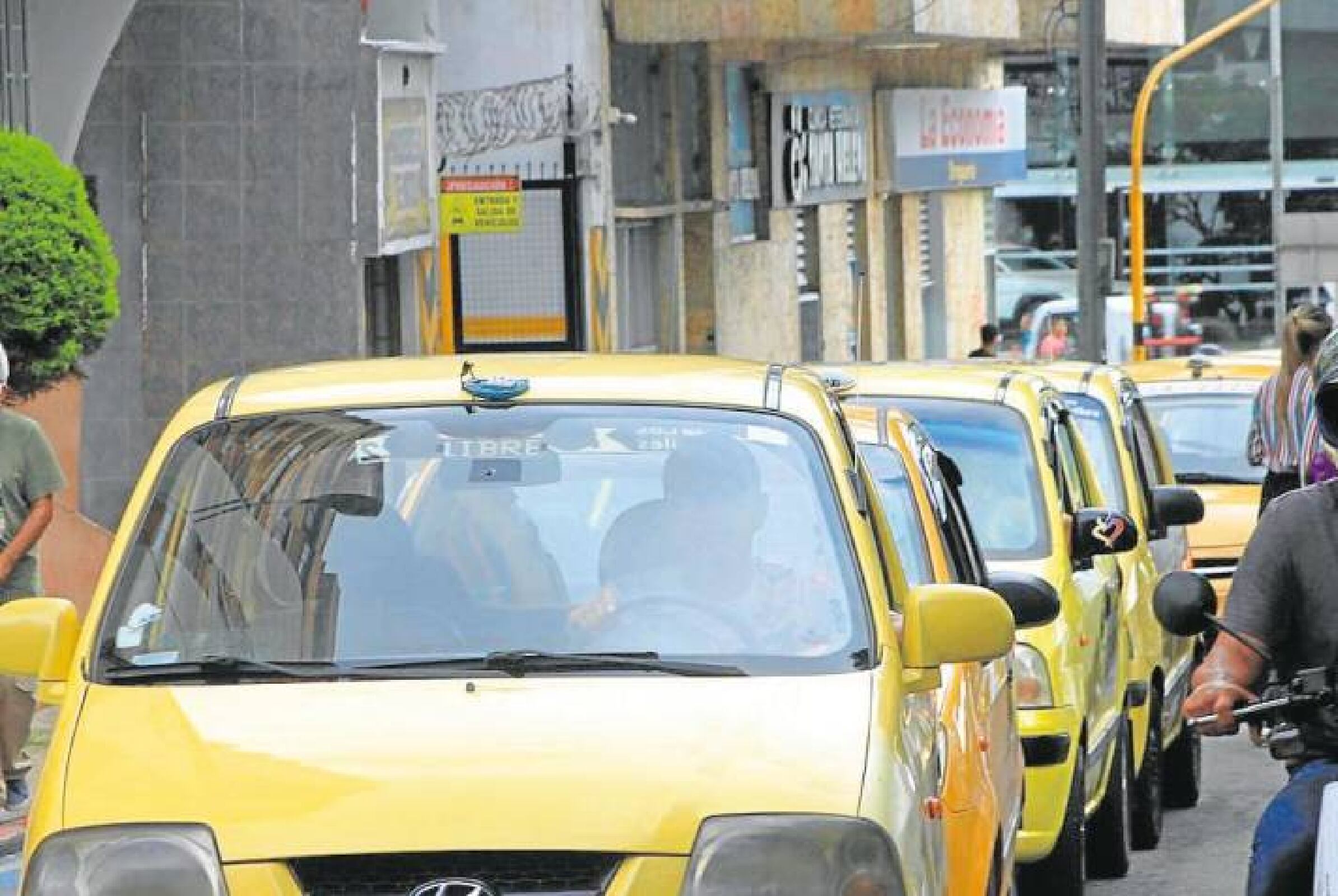 Gremio de taxista dividido en tema de tarifas