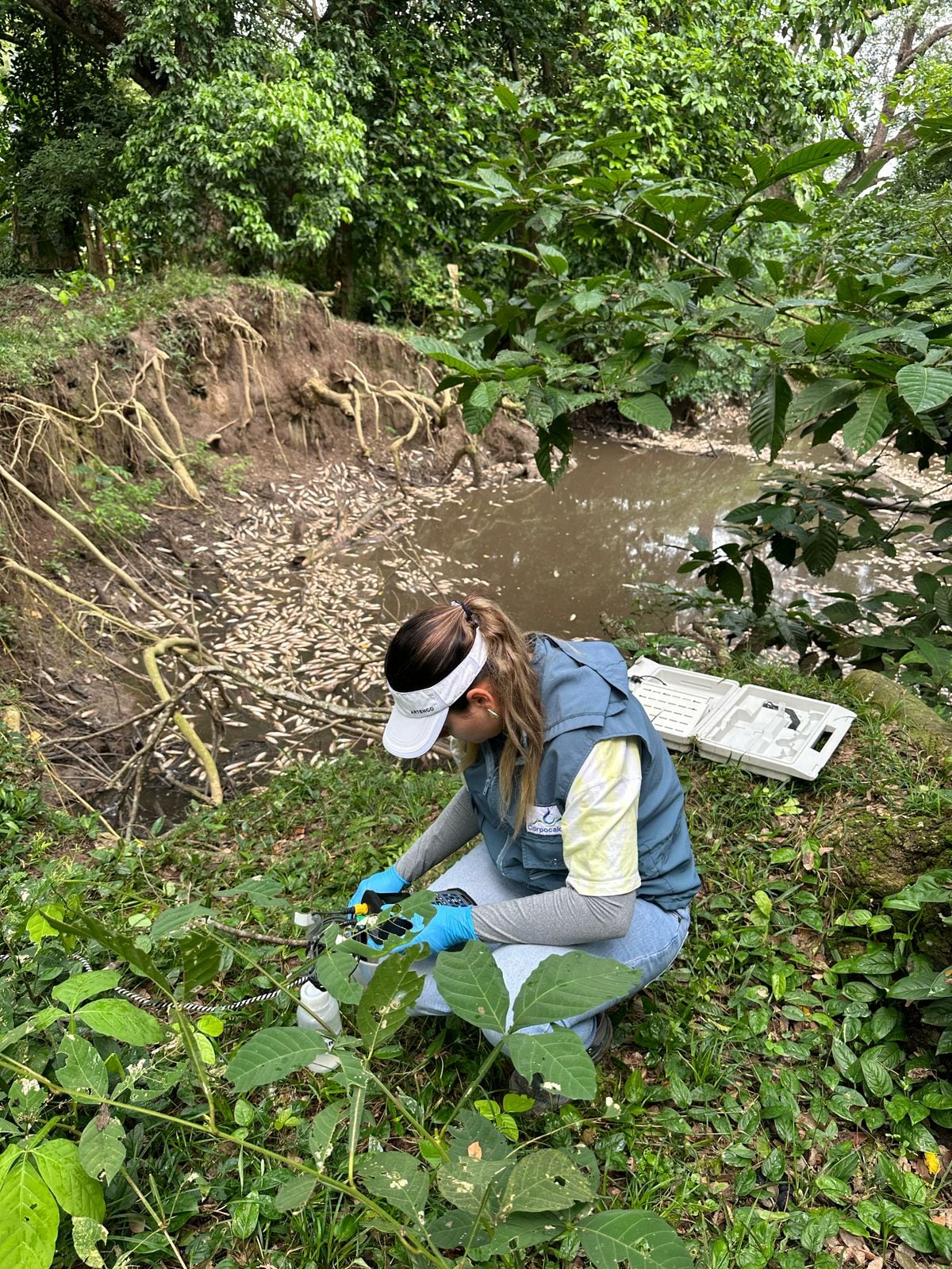 Foto suministrada Corpocaldas