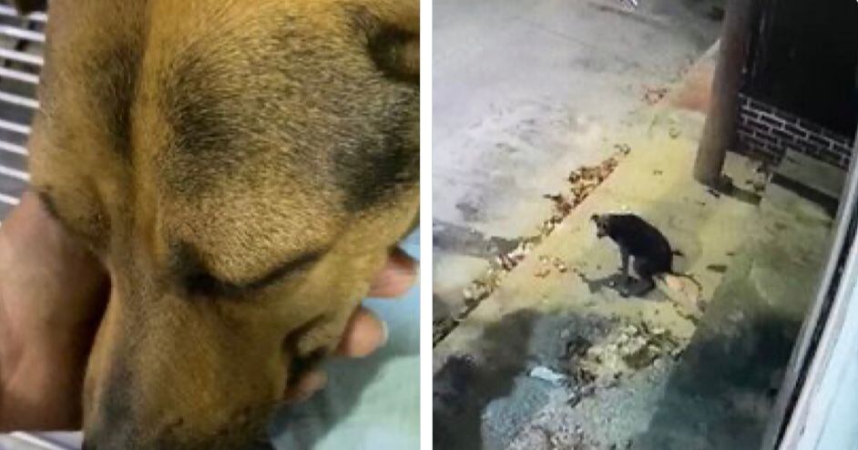 Capturas de video . Lorenzo Bonilla