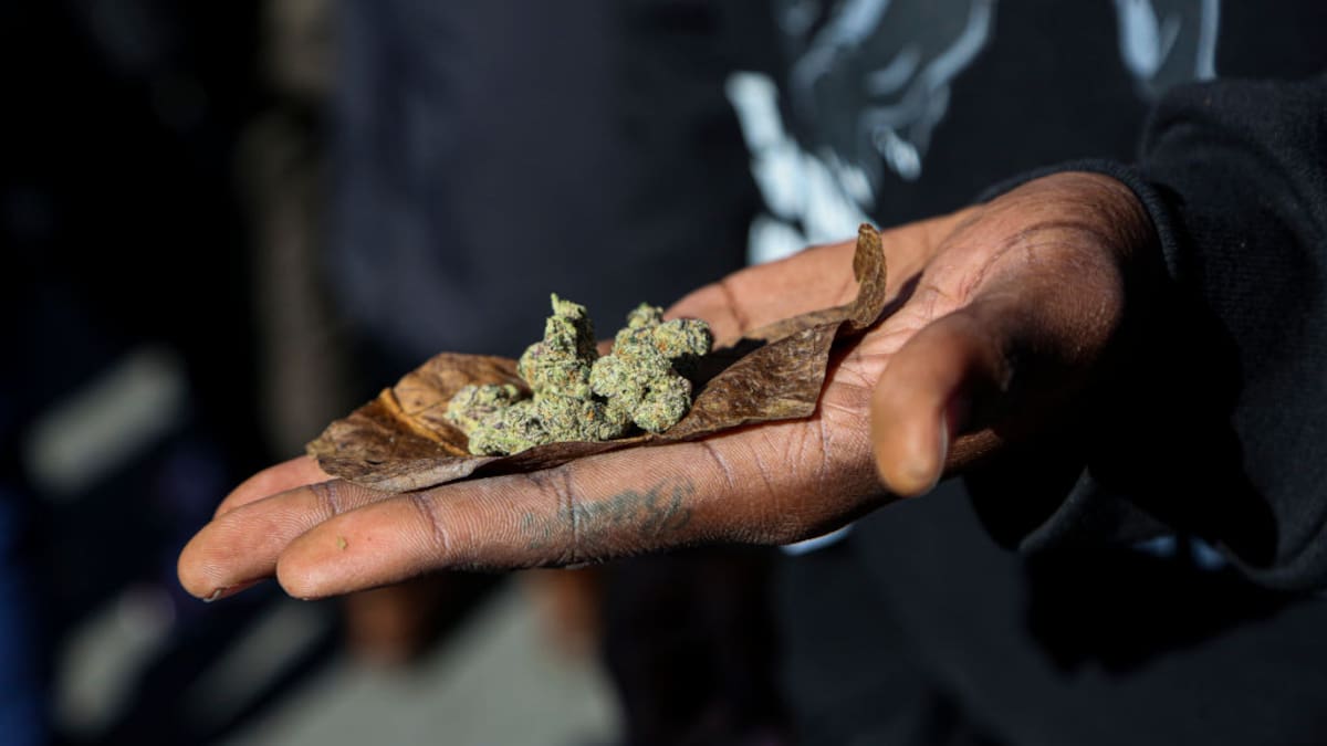 Nueva York tendrá dispensario de marihuana legal para Año Nuevo, ¿cómo funcionará?