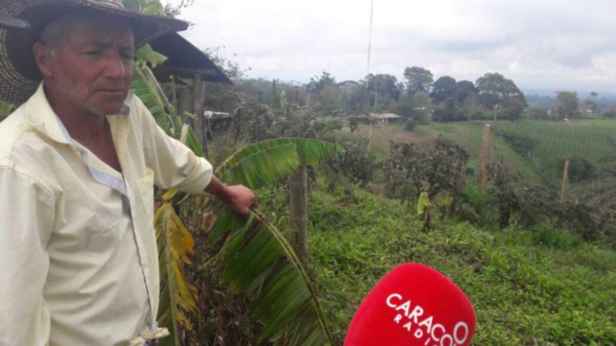 Productores agropecuarios de Circasia, Quindío se declararon en quiebra por afectación debido a lluvias