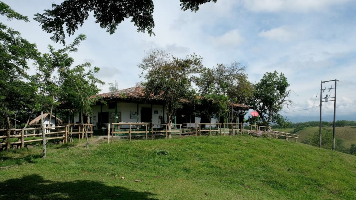 ¿Dónde está Petro cuando en Nechí están invadiendo el patrimonio de familias?: propietario