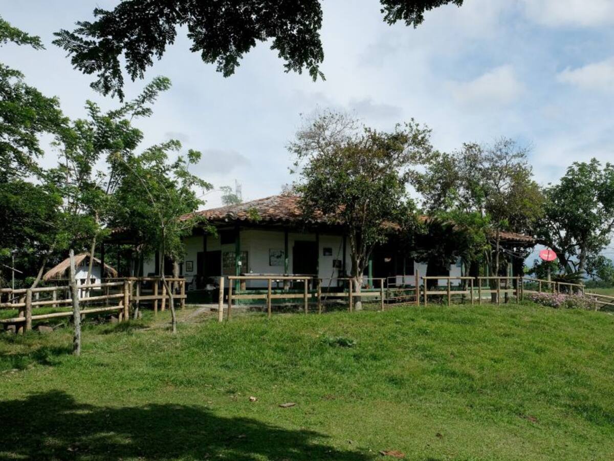 ¿Dónde está Petro cuando en Nechí están invadiendo el patrimonio de familias?: propietario