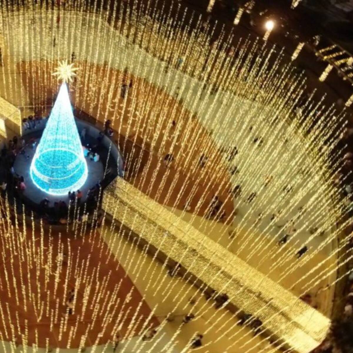 Tres millones de bombillos iluminan a Pereira en navidad