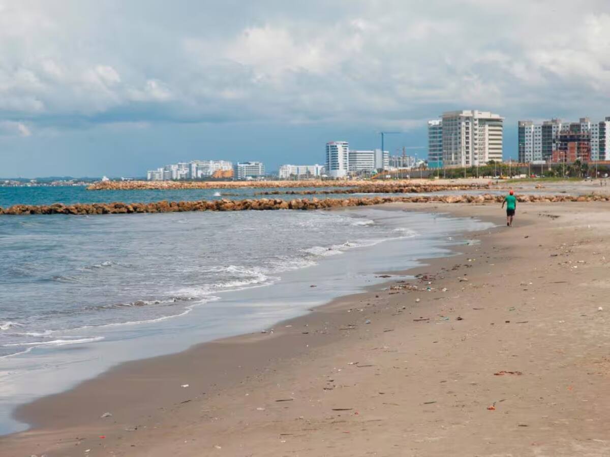 Encontraron cuerpo en playas de Marbella: habría muerto por inmersión