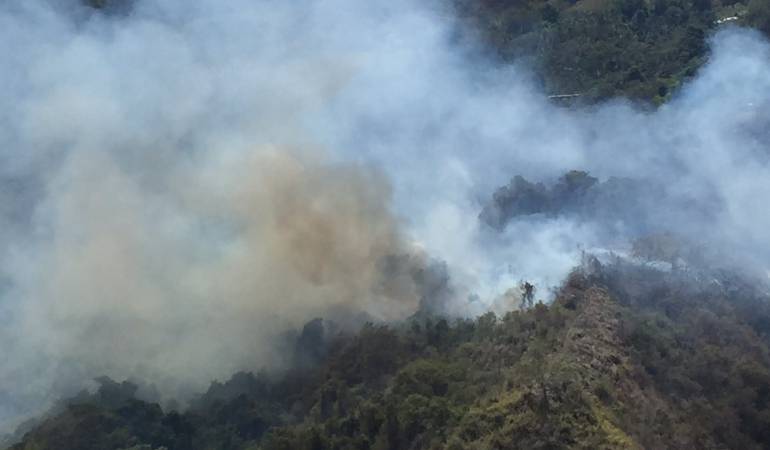 En el municipio de Génova, se presentó incendio forestal que consumió decenas de pastos.