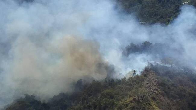 En el municipio de Génova, se presentó incendio forestal que consumió decenas de pastos.