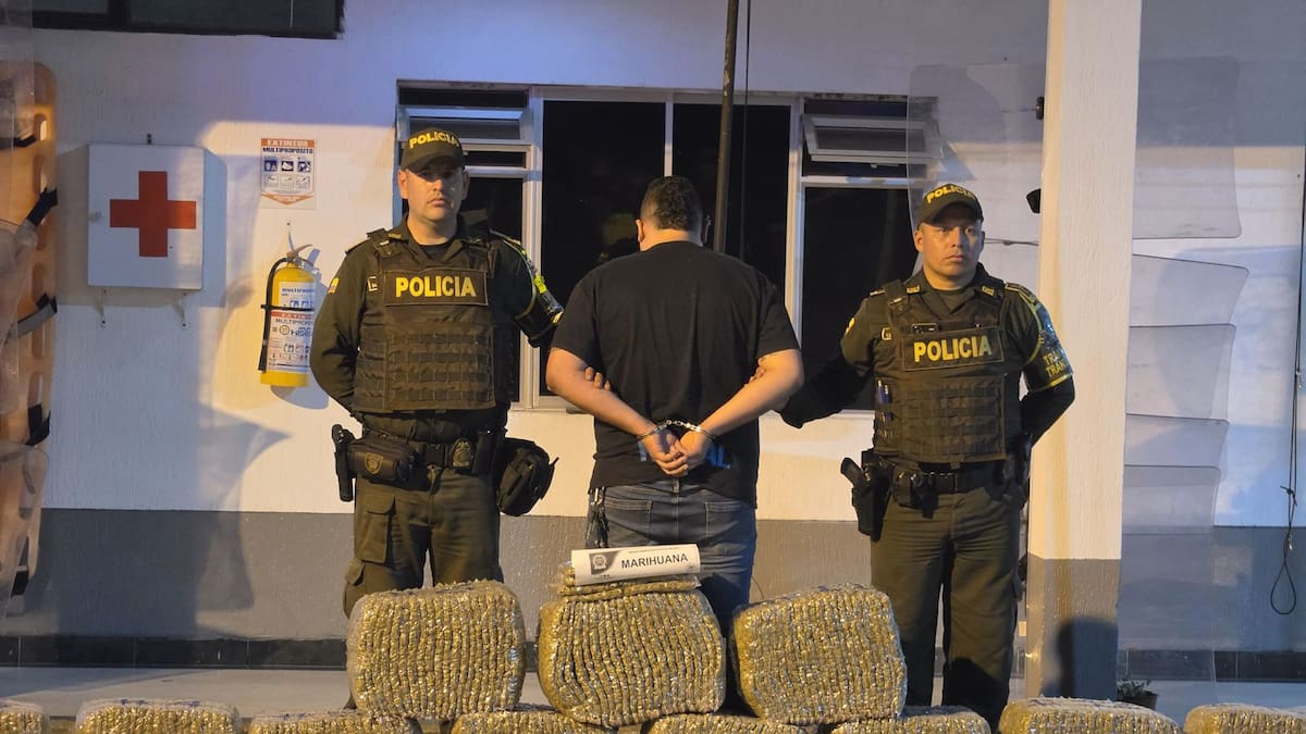Más de 200 kilos de marihuana son incautados en Caldas, al parecer, se distribuiría en Manizales