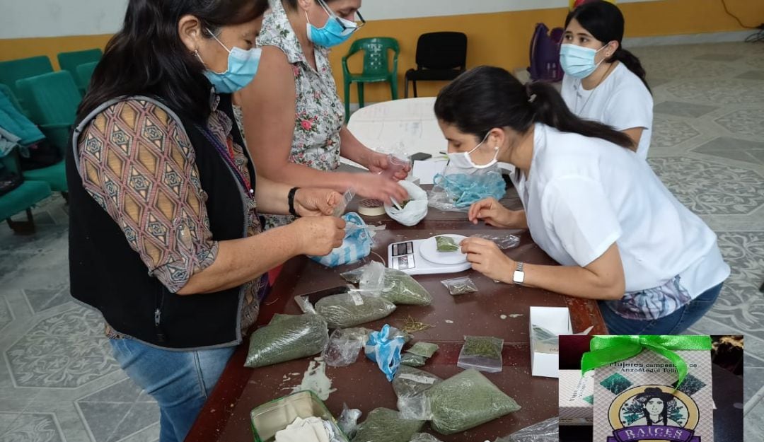 Grupo de mujeres en proceso del empaque de las aromáticas
