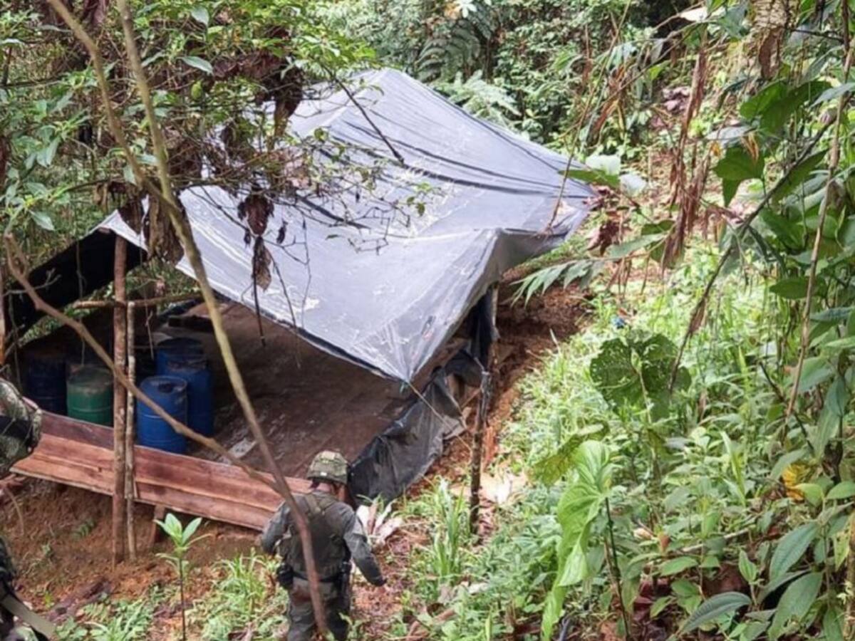 En zona selvática entre Valle y Chocó, le destruyen 5 laboratorios al ELN