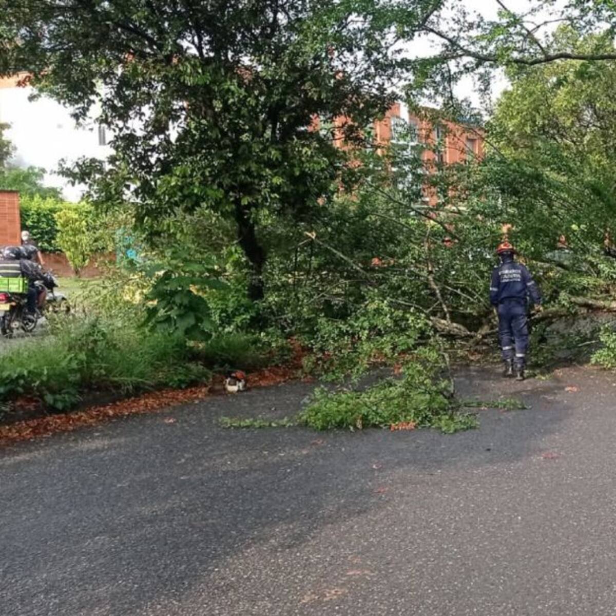 Por lluvias decretaron calamidad pública en Floridablanca