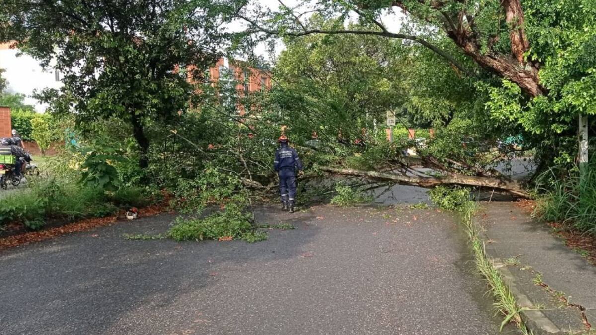 Por lluvias decretaron calamidad pública en Floridablanca