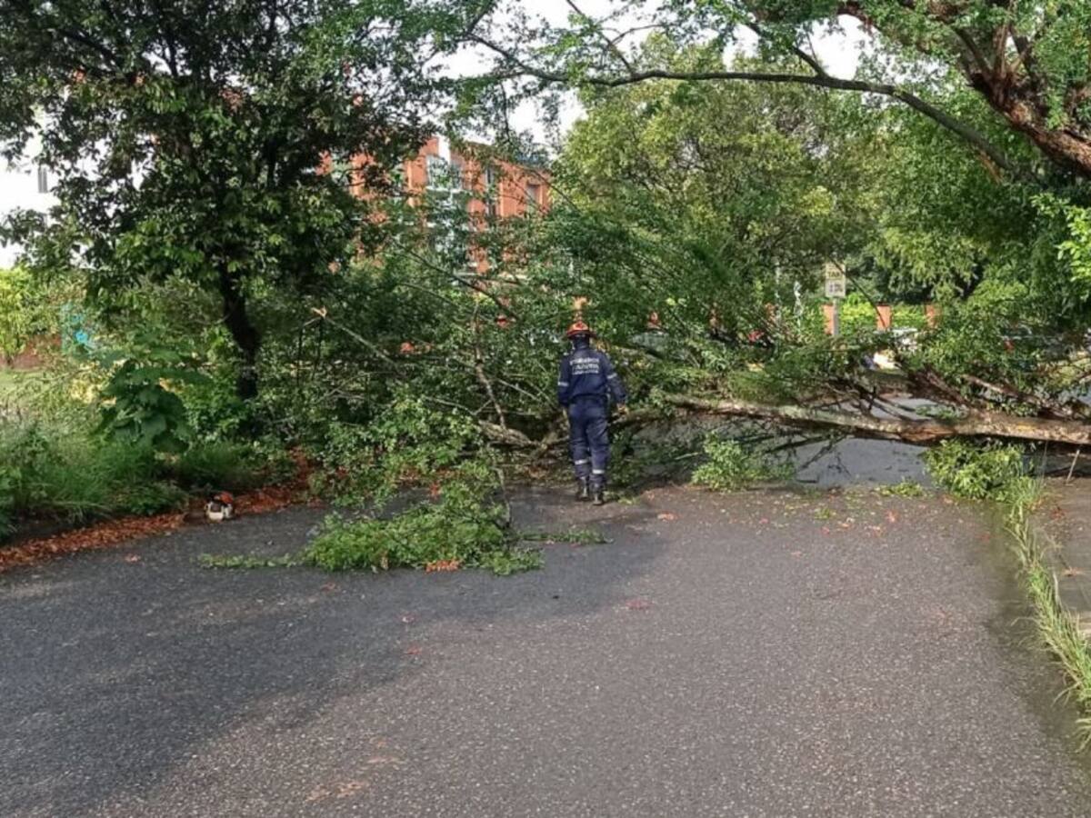 Por lluvias decretaron calamidad pública en Floridablanca