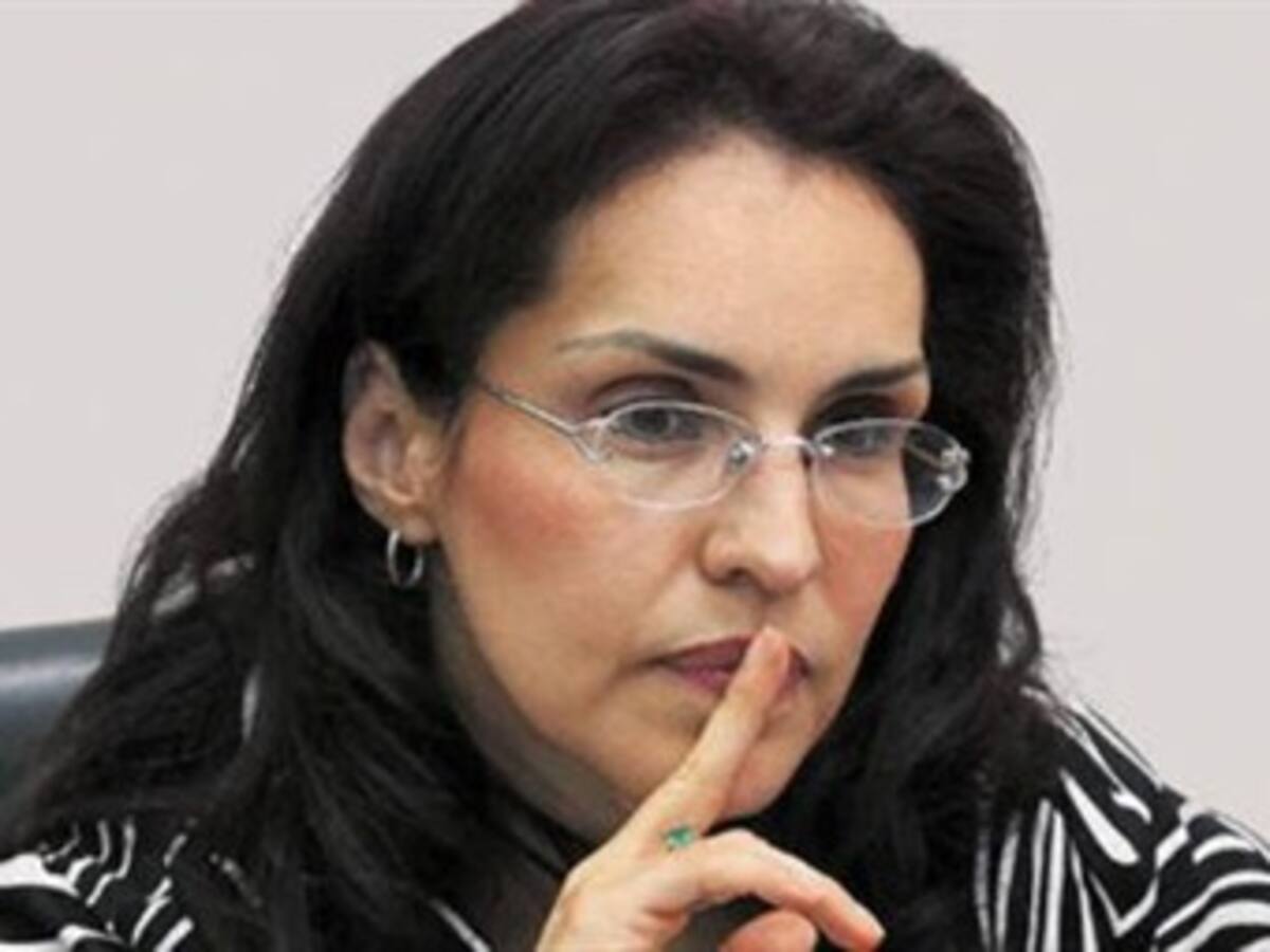 Fiscal asegura que su periodo no termina en un año