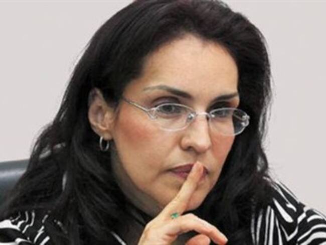 Fiscal asegura que su periodo no termina en un año