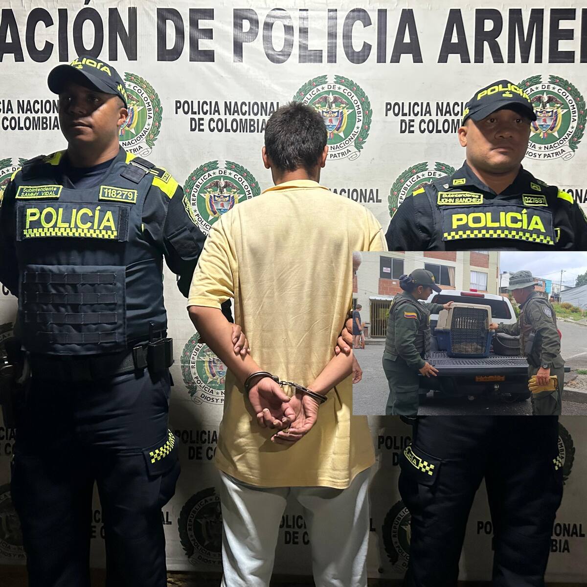 No hay derecho, en Armenia capturaron un hombre que lanzó desde un cuarto piso a un perro y murió