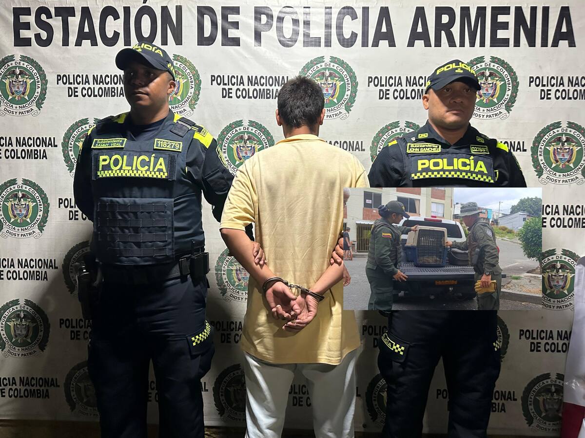 No hay derecho, en Armenia capturaron un hombre que lanzó desde un cuarto piso a un perro y murió