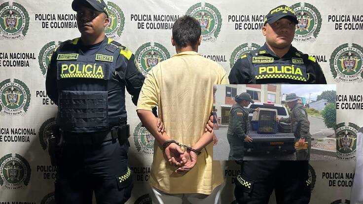 Diana Rodríguez, animalista de Armenia