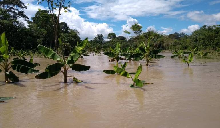 Inundación en el Meta