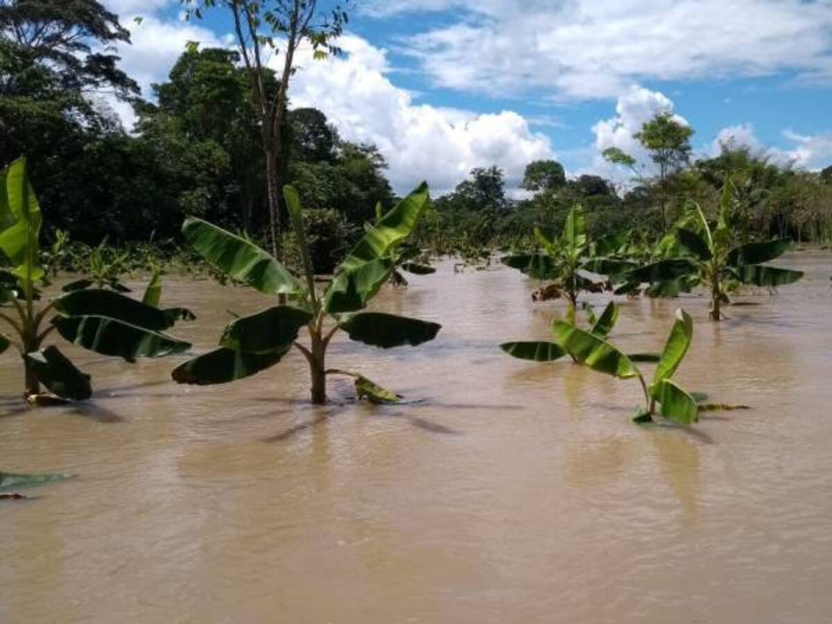 22 veredas inundadas en Puerto Concordia Meta