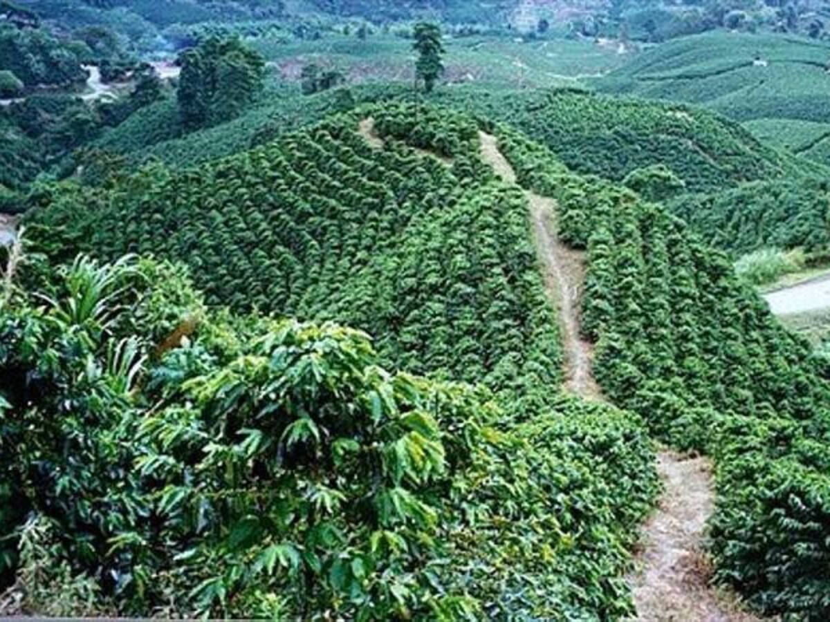 La agroecología, una moda para alimentarnos sanamente